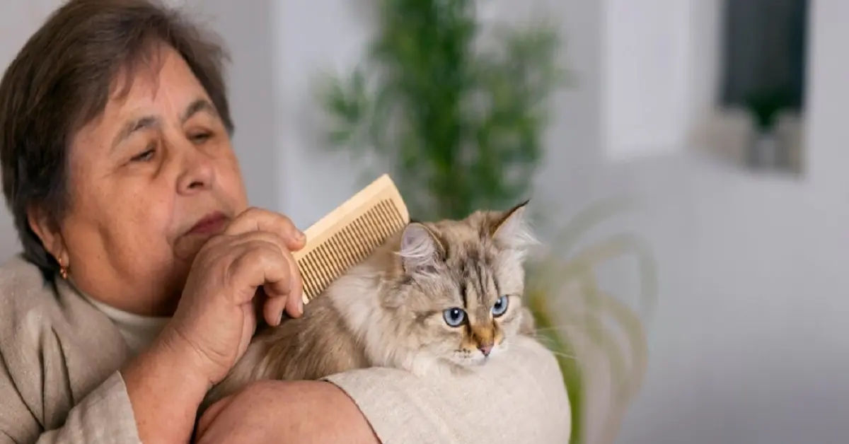 Understanding and Caring for Your Cat: A Comprehensive Guide